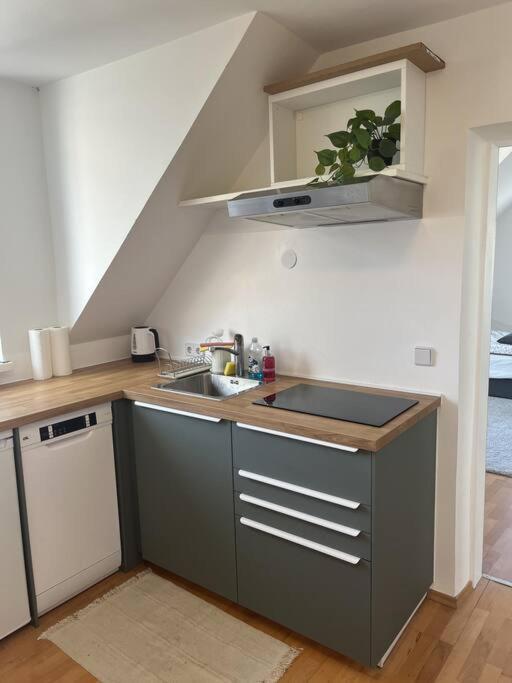 Cozy City Center Apartment Graz Eksteriør bilde
